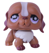 #0729 Saint Bernard
